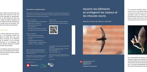 Assainir les bâtiments en protégeant les oiseaux et les chauves-souris