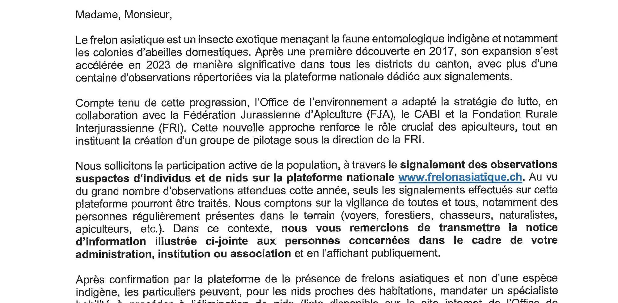 Frelon asiatique - Appel à la vigilance