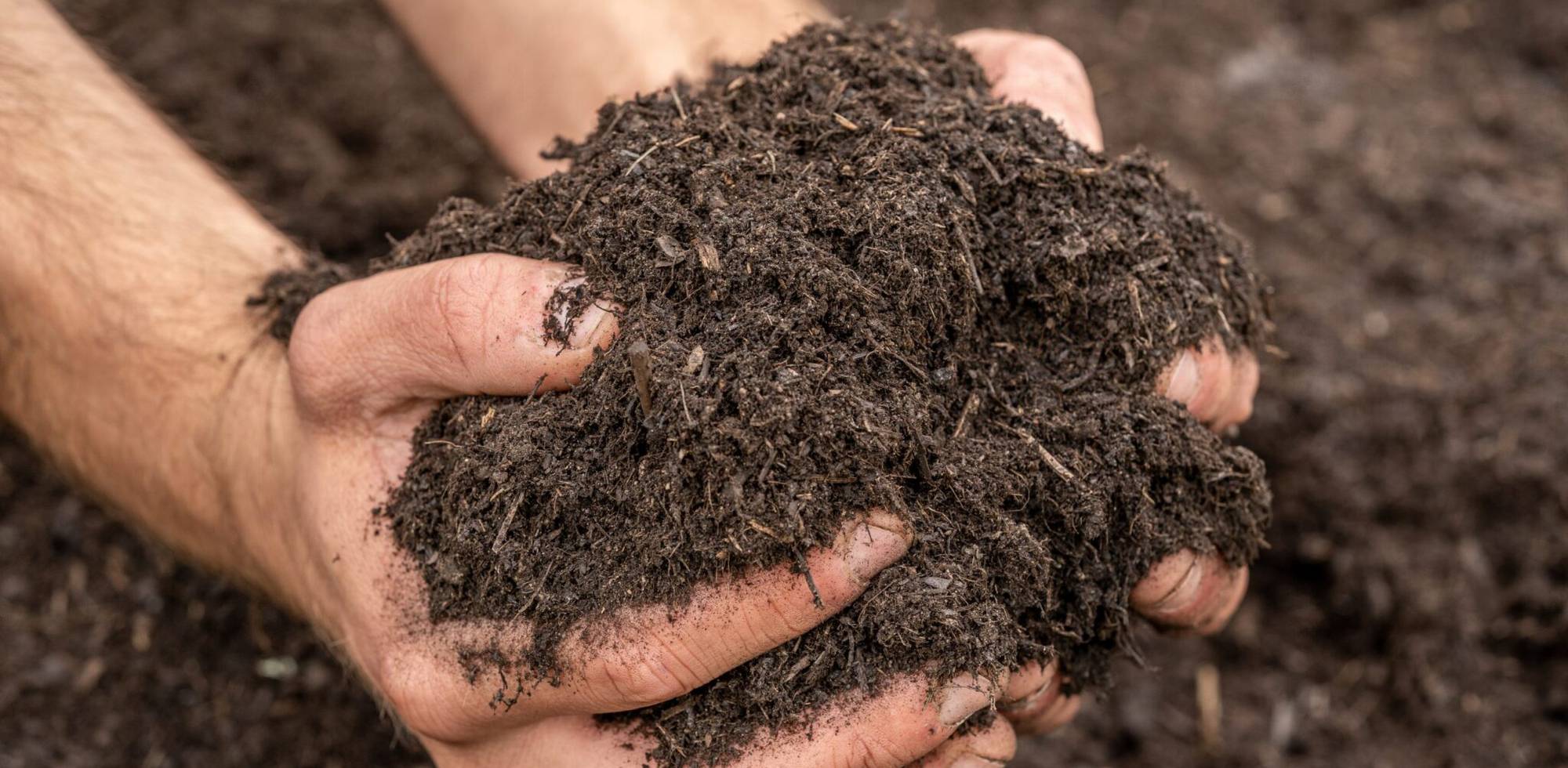 Mise à disposition de compost
