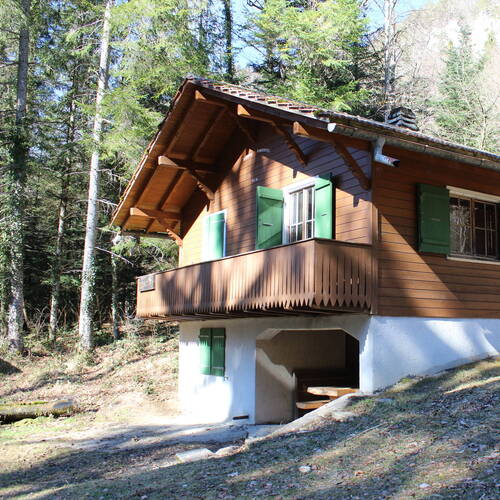 Description de l'image