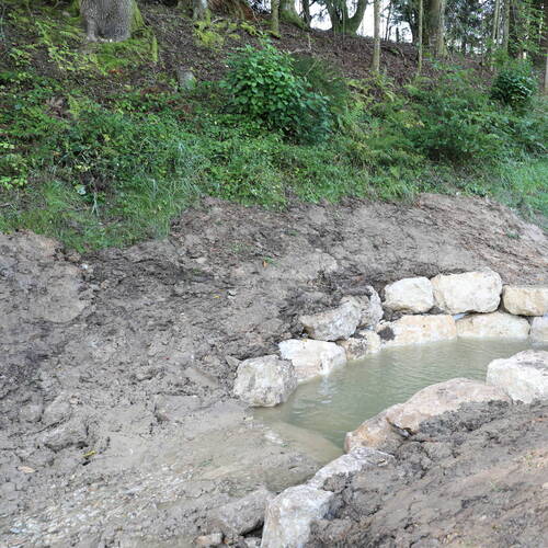 Description de l'image