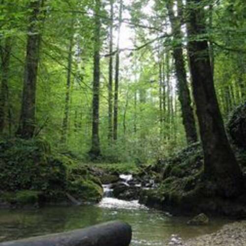 Association des Amis de la Combe Tabeillon