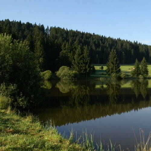 Ferme de la Combe Tabeillon à Glovelier
