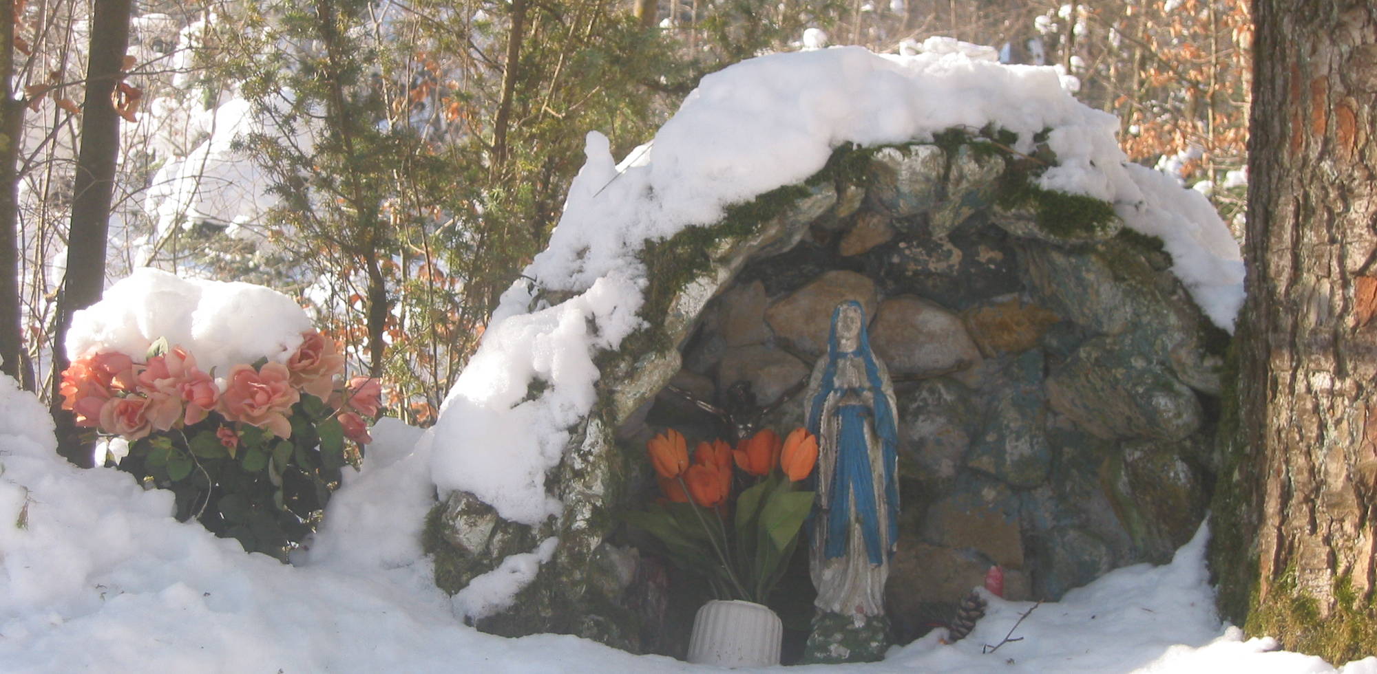 fCvr.-mars 2005 Courfaivre 024.jpg