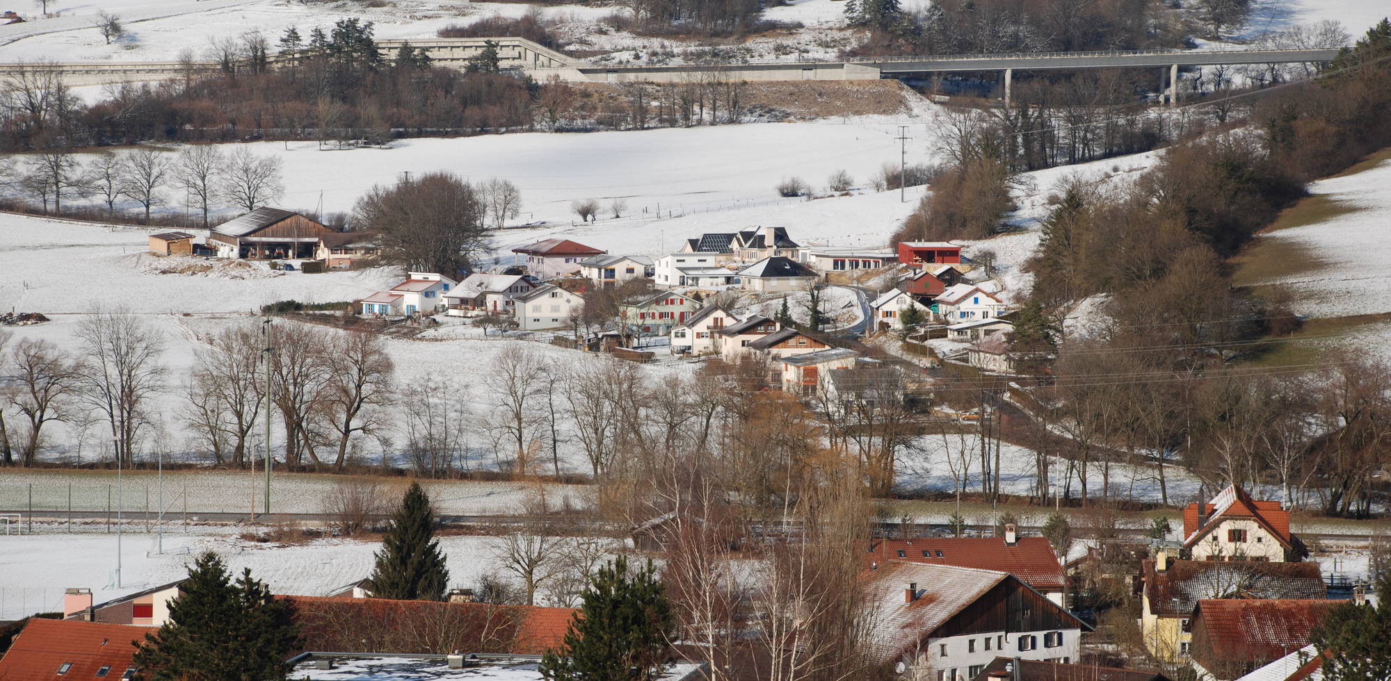 Clos Mochard 2009.jpg