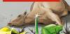 Campagne contre le littering