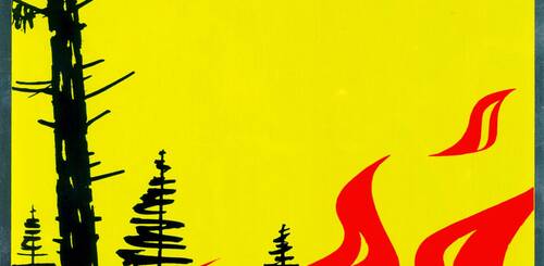 Interdiction totale des feux en forêt, en pâturages boisés et à proximité