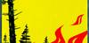 Interdiction de faire du feu en forêt, dans les pâturages boisés et jusqu'à 200 m des lisières