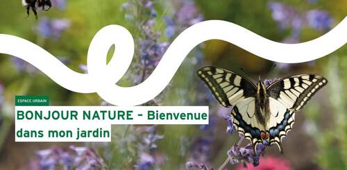 Biodiversité: conseils gratuits pour les propriétaires de jardins