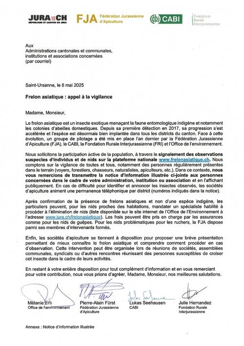 Frelon asiatique : appel à la vigilance 1