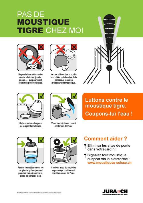 Moustique1