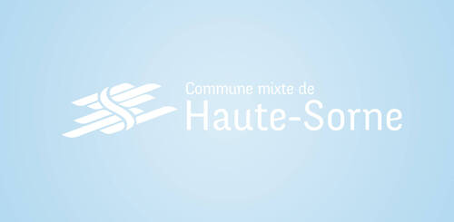 Conseil général
