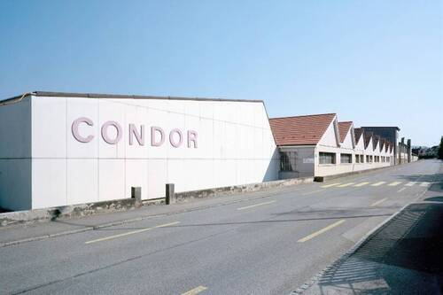 Condor